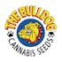Logo for the brand The Bulldog Seeds
